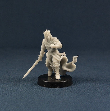 Cult Paladin | Vae Victis Miniatures | 32mm Scale | | Cultist | Resin Printed Tabletop RPG Figures | DND | 5E