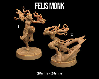 Felis Monk | Dragon Trappers Lodge | One Page Rules | 32mm | Resin Printed Tabletop RPG Figures | DND | 5E |