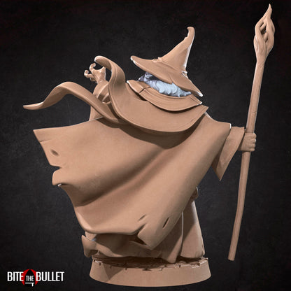 Wizard Explorer | Bite The Bullet | 35mm Scale | Resin Printed Tabletop RPG Miniature Figures | DND | 5E