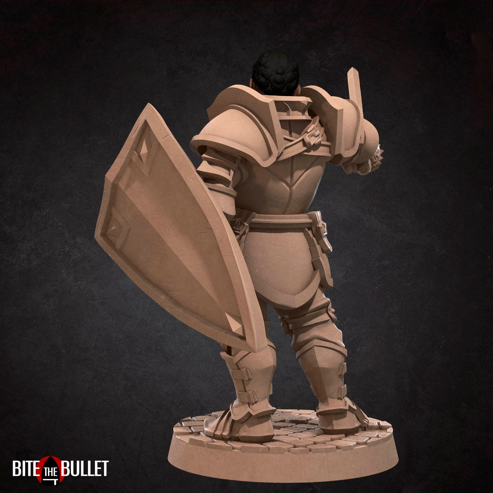 Hero Paladin | Bite The Bullet | 35mm Scale | Resin Printed Tabletop RPG Miniature Figures | DND | 5E
