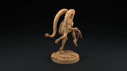 The Red Jester | Dragon Trappers Lodge | Monster | One Page Rules | 32mm | Resin Printed Tabletop RPG Figures | DND | 5E | Halloween