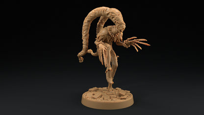 The Red Jester | Dragon Trappers Lodge | Monster | One Page Rules | 32mm | Resin Printed Tabletop RPG Figures | DND | 5E | Halloween