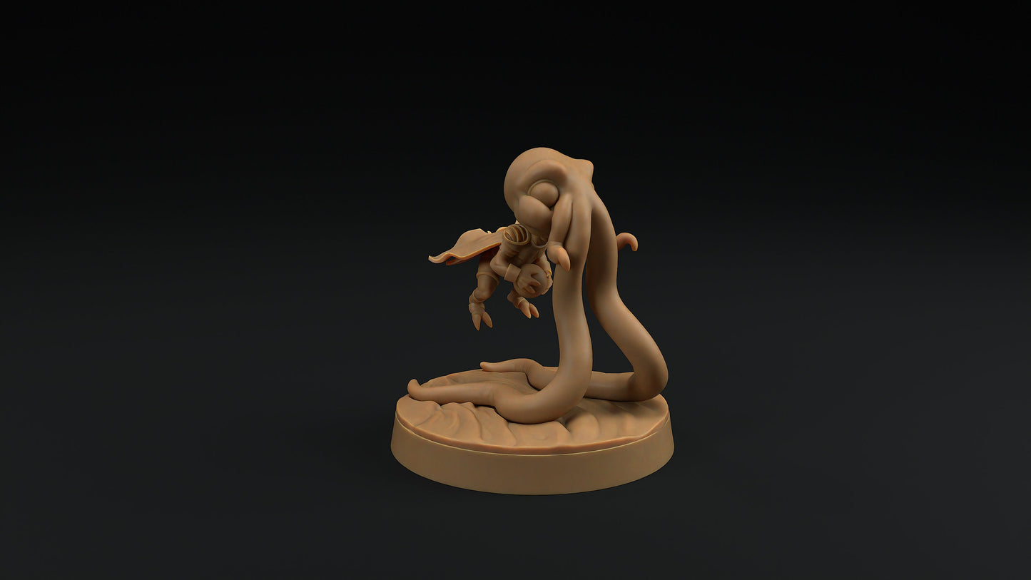 Gnome Squidling | Dragon Trappers Lodge | Monster | One Page Rules | 32mm | Resin Printed Tabletop RPG Figures | DND | 5E