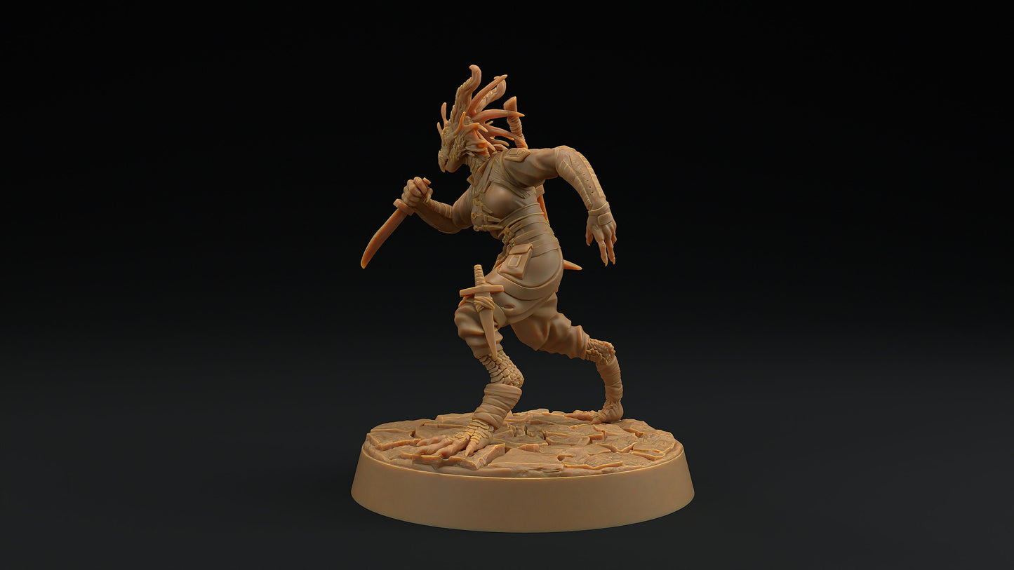 Nyxia Shadowblade | Dragon Trappers Lodge | Draconic Hero | Rogue Dragonborn | 32mm Scale Resin Printed Tabletop RPG Figure For DND 5E