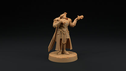 Sir Smugshine | Dragon Trappers Lodge | Hero Hunters Lodge | 32mm Scale Resin Printed Tabletop RPG Figure For DND and TTRPGs
