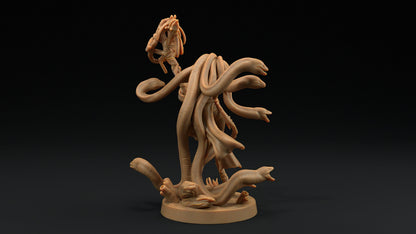 Callista, The Sea Witch | Dragon Trappers Lodge | Hunt for The Last Sea Angel | 32mm Scale Resin Printed Tabletop RPG Figure For DND