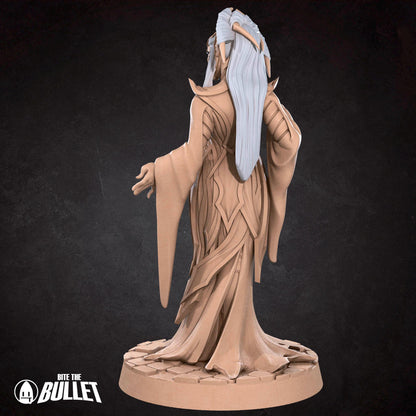 Drow Matron | Dungeon Underdark | Bite The Bullet | 35mm Scale | Resin Printed Tabletop RPG Miniature Figures | DND | 5E