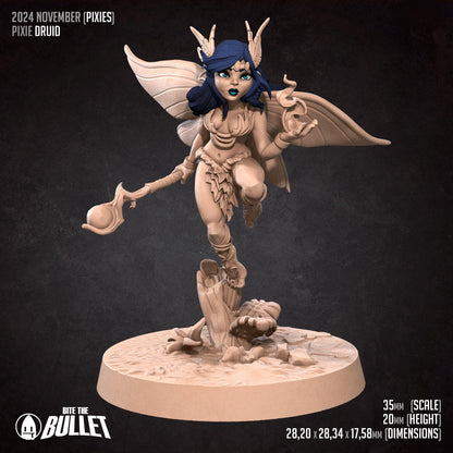 Pixie Druid | Pixies | Bite The Bullet | 35mm Scale | Resin Printed Tabletop RPG Miniature Figures | DND | 5E