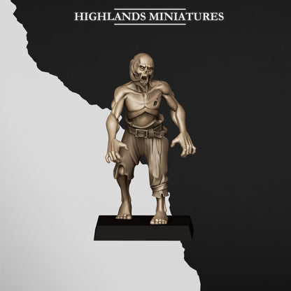 Zombies | Transilvanya The Fallen Realm | Highlands Miniatures | 32mm Scale Resin Tabletop RPG Figures for Roleplaying and Wargaming